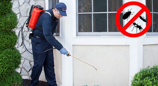 Bursa Kene İlaçlama böcek ilaçlama ve haşere kontrolü — ilaclama-tr.com